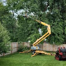 Best Tree and Shrub Care  in East Uniontown, PA